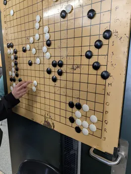 Copyright : Johanna Heather Anselmo